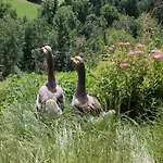 Lutzmannhof * Irdning