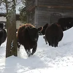 Lutzmannhof Agroturismo Irdning