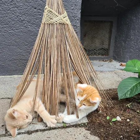 Lutzmannhof Farmház *