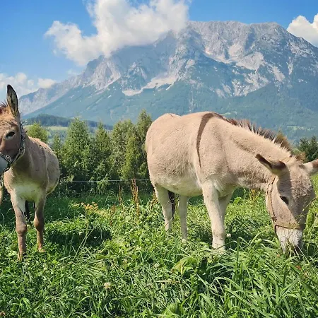 Lutzmannhof Séjour à la ferme *