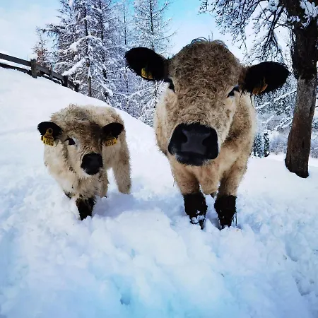 Lutzmannhof Séjour à la ferme *