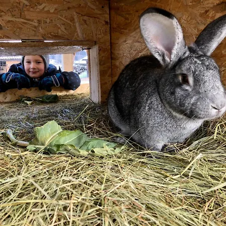 Farmház Lutzmannhof *