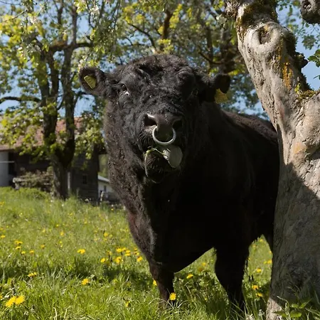 Farm stay Lutzmannhof *
