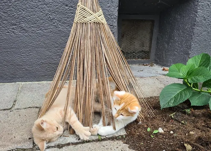 Lutzmannhof בית חווה *