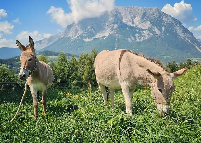 Lutzmannhof Séjour à la ferme *
