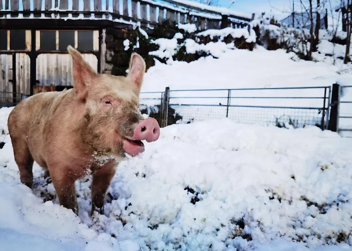 Farmház Lutzmannhof *