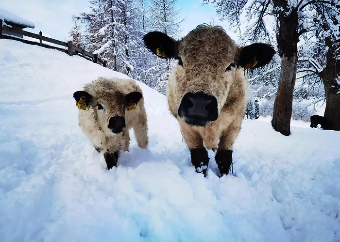 Lutzmannhof בית חווה *