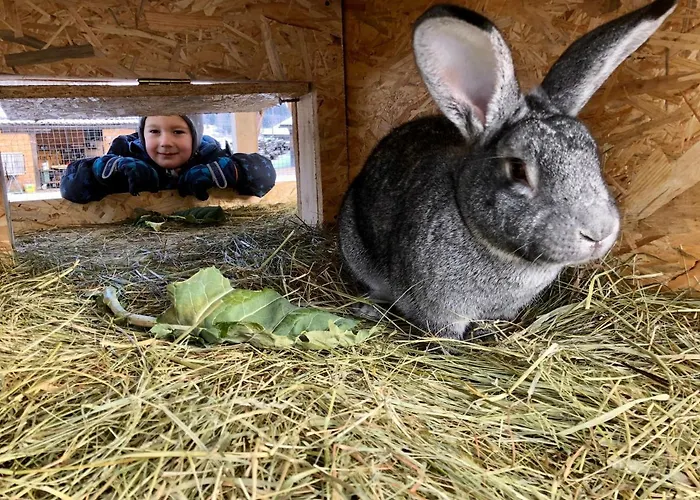 Séjour à la ferme Lutzmannhof *
