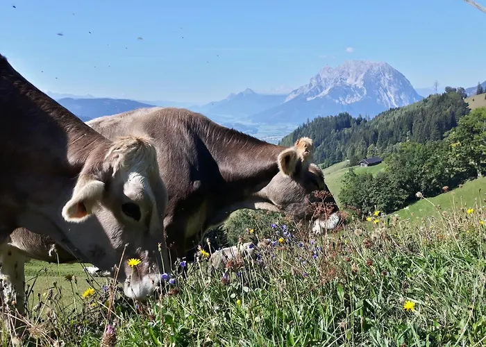 Lutzmannhof אירדנינג
