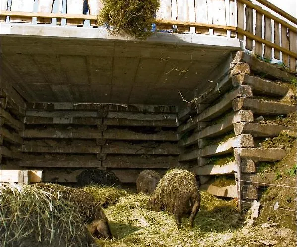 Lutzmannhof אירדנינג