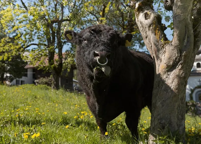 Séjour à la ferme Lutzmannhof *