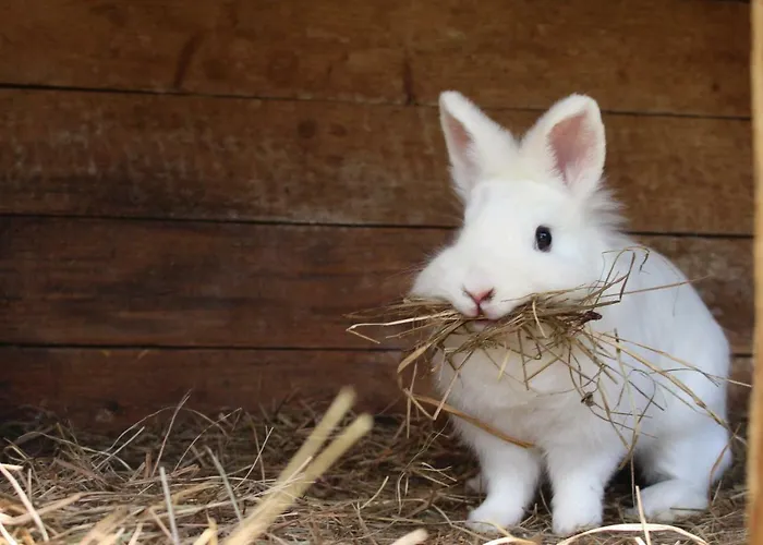 Lutzmannhof Séjour à la ferme Irdning