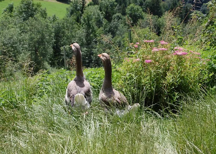 Lutzmannhof * Irdning