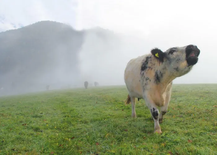 Séjour à la ferme Lutzmannhof Irdning
