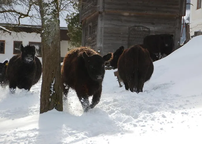 Lutzmannhof Séjour à la ferme Irdning